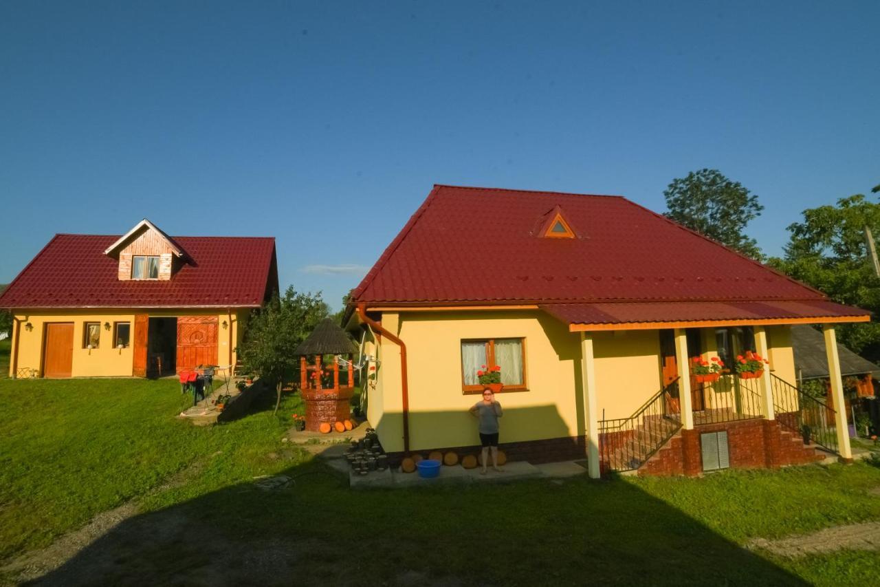 Pensiunea Agroturistica Casa Pribegilor Breb Экстерьер фото