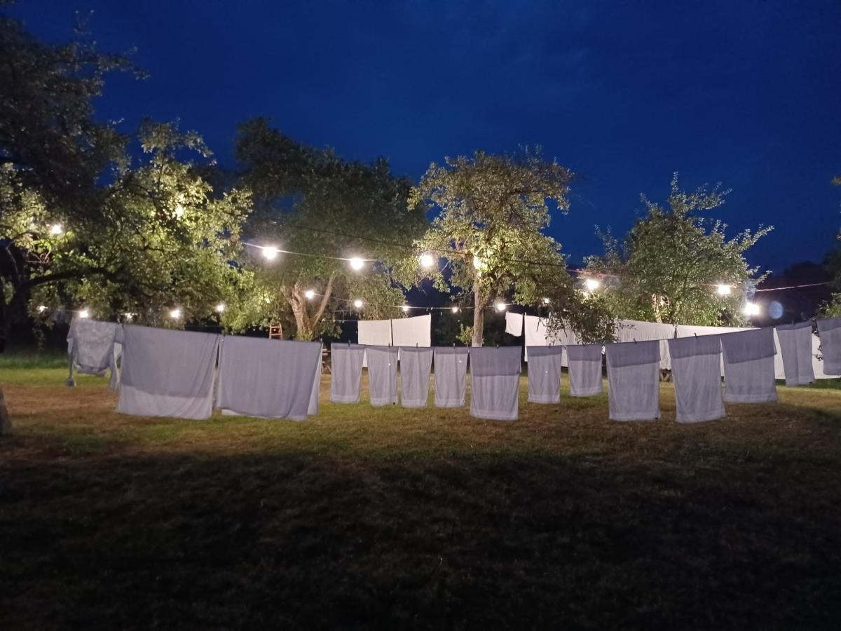 Pensiunea Agroturistica Casa Pribegilor Breb Экстерьер фото