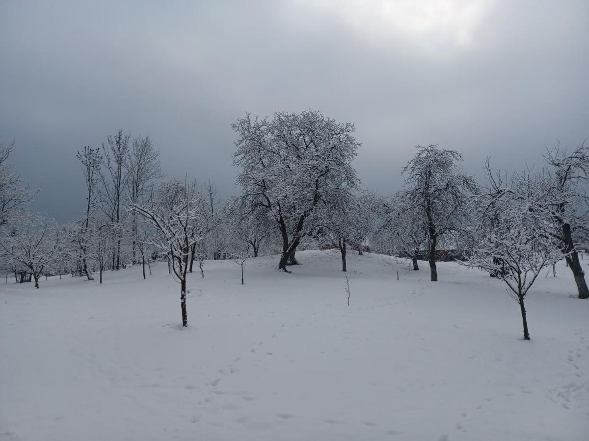 Pensiunea Agroturistica Casa Pribegilor Breb Экстерьер фото
