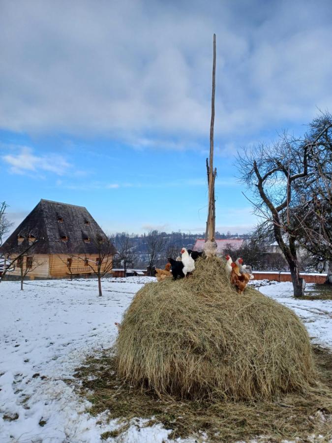 Pensiunea Agroturistica Casa Pribegilor Breb Экстерьер фото