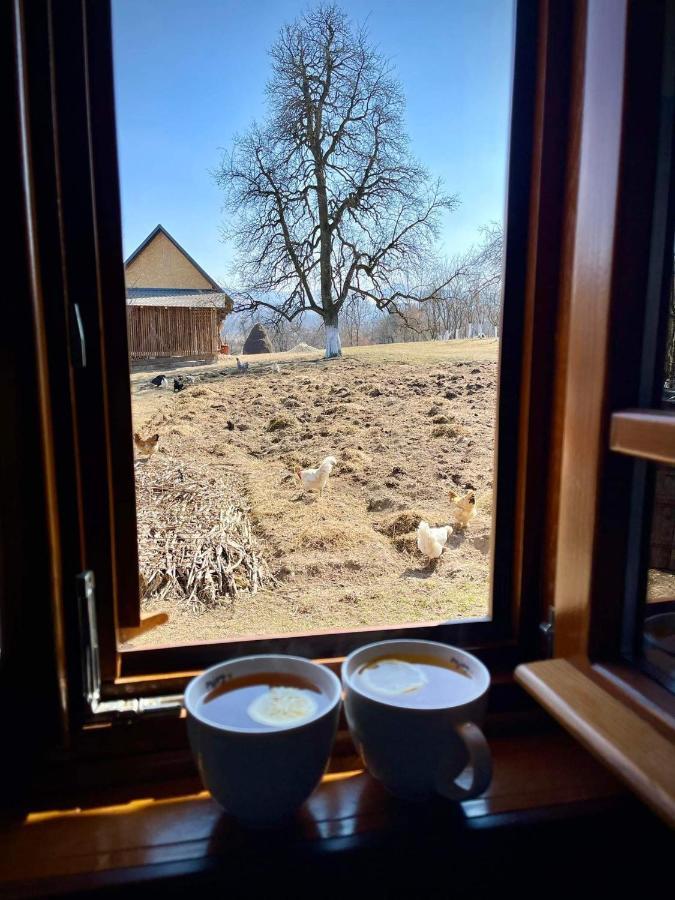 Pensiunea Agroturistica Casa Pribegilor Breb Экстерьер фото