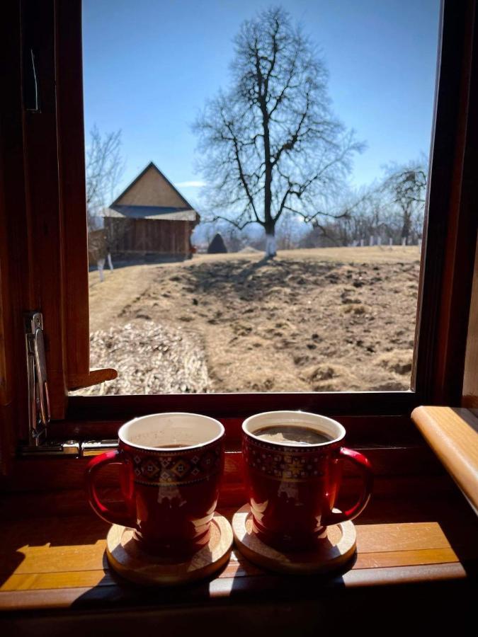 Pensiunea Agroturistica Casa Pribegilor Breb Экстерьер фото